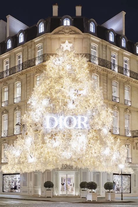 vitrine magasin dior|dior boutique paris.